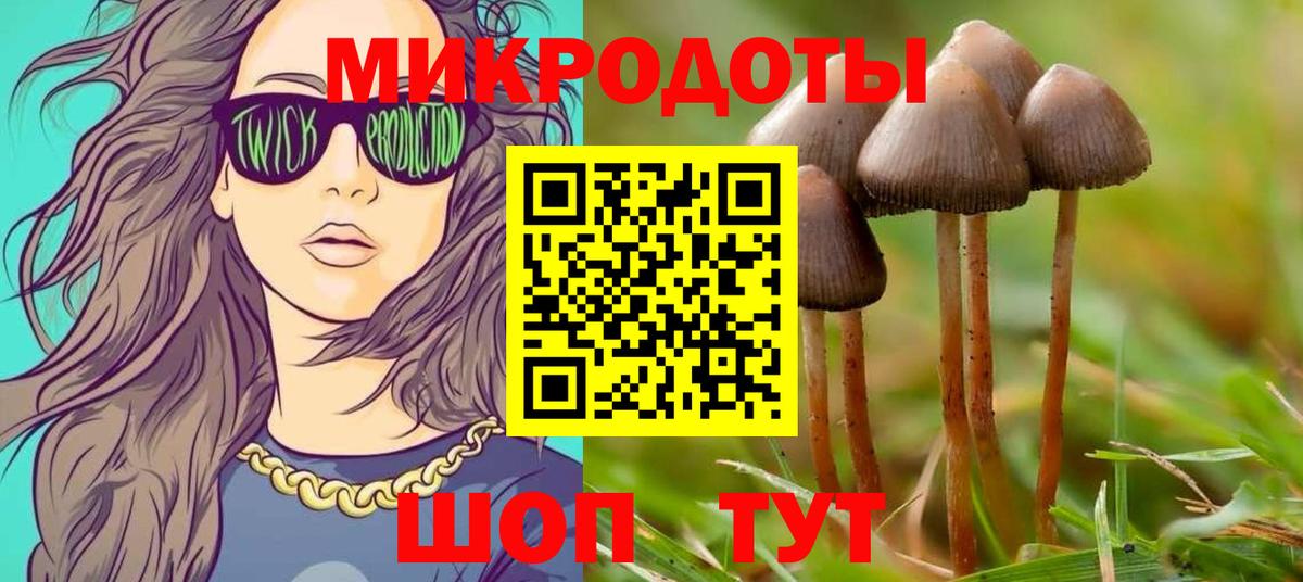 Михайловск  Псилоцибиновые грибы ЛСД  Вход с VPN 